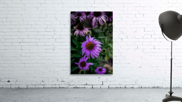 Loris Flowers - 4 Wall Preview