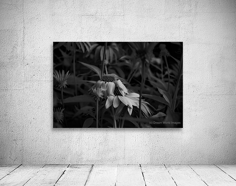 Loris Flowers - 3 Wall Preview