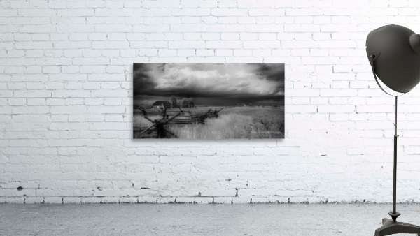 Infrared Field  Wall Preview