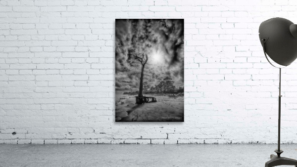 Shadowy Wall Preview