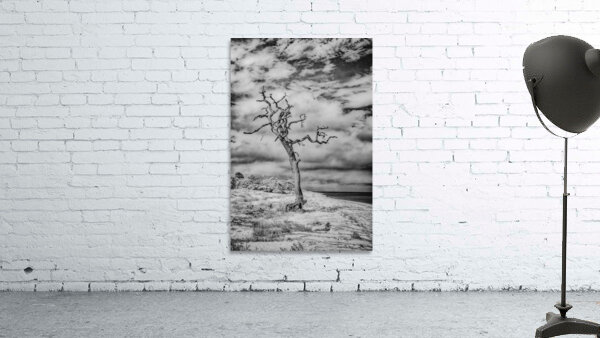 Alone and Lost Wall Preview