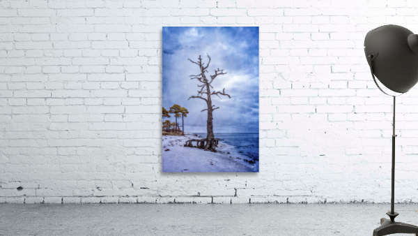 Coastal Sentinels Last Watch Wall Preview