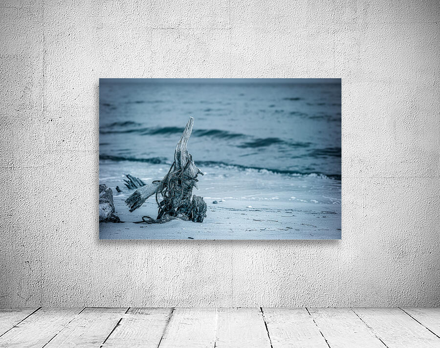 Oceans Driftwood Sentinel Wall Preview