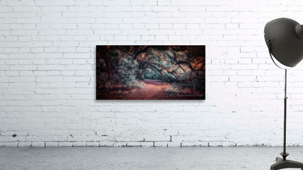 Solitary Trails: Oak Hangover Wall Preview