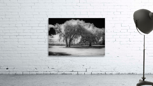 Neutral Trees Wall Preview