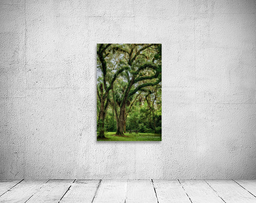 Unexpected Charms: Yuhlee Sugar Plantations Tranquil Oak Haven in Florida Wall Preview