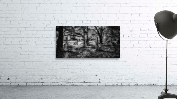 Forest Swing Wall Preview