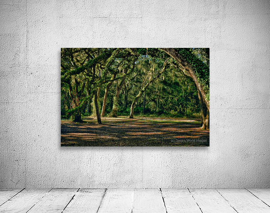 Oak Arches Wall Preview