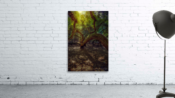 Ancient Oaks Dream Wall Preview