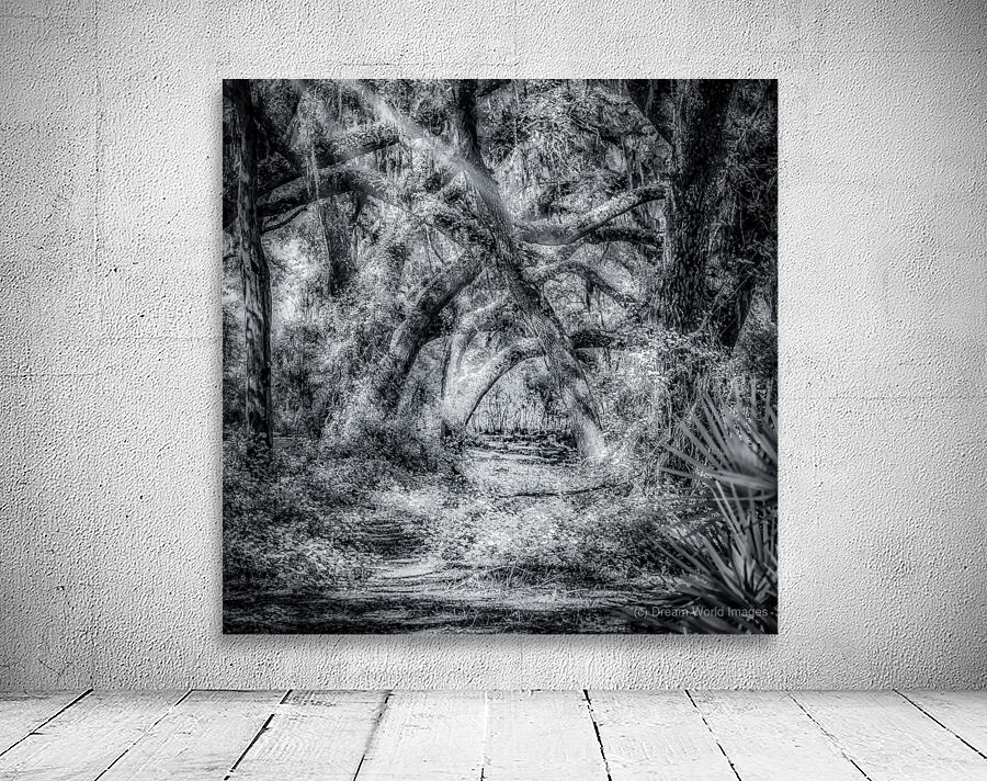 Jungle Path Wall Preview