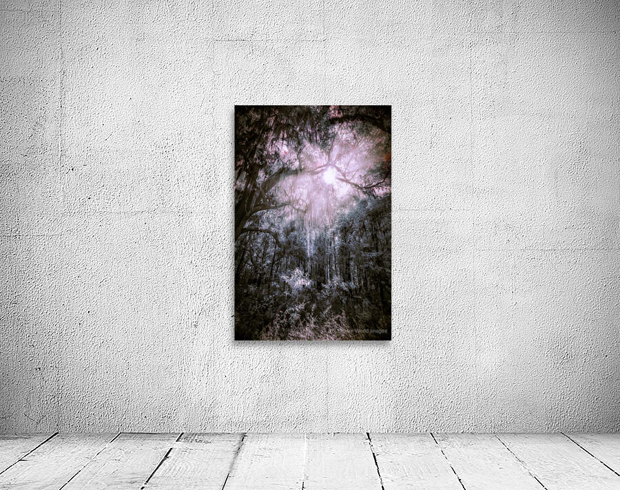 Spooky Trees Wall Preview