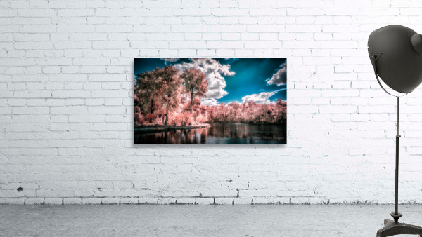 Fantastical Foliage: Silver Springs State Park Wall Preview