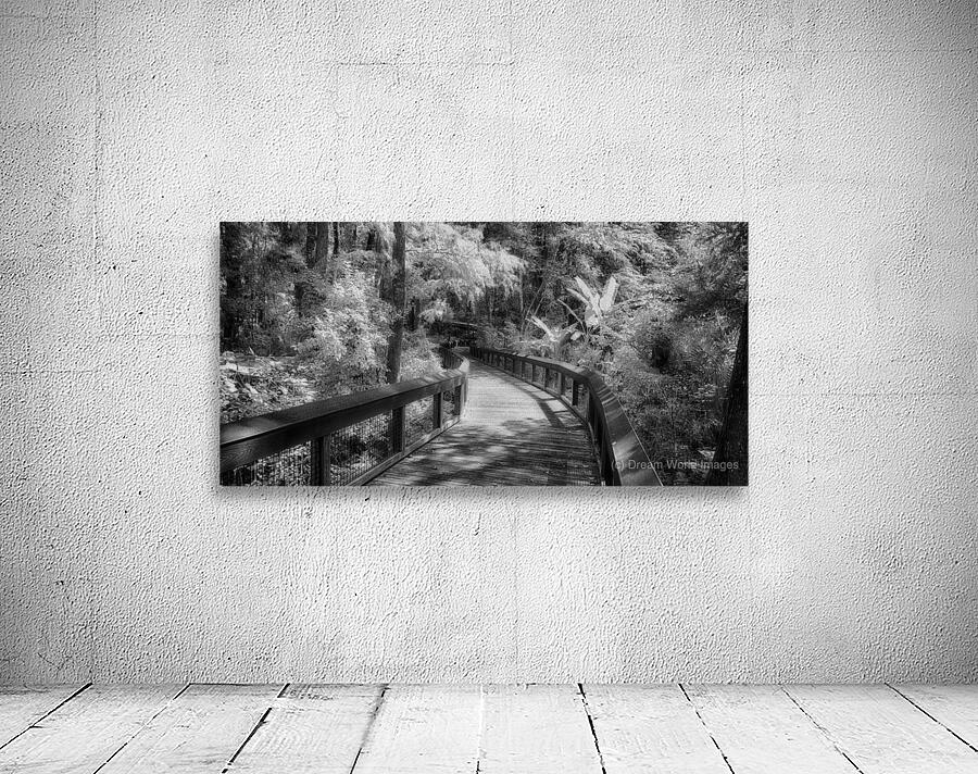Infrared Boardwalk Bend Wall Preview