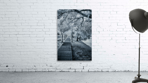 Spanish Moss Promenade Wall Preview