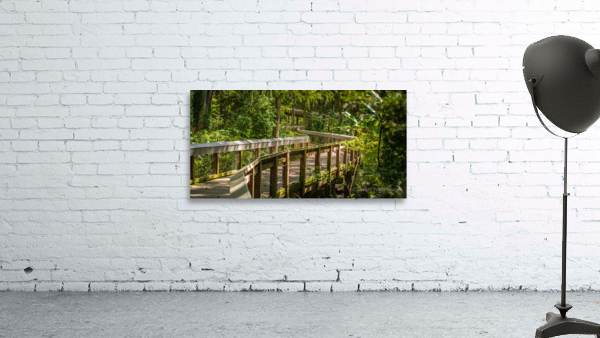 Green Boardwalk Wall Preview