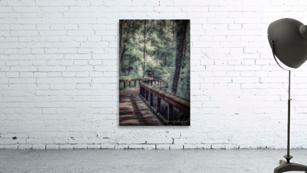 Forests Winding Welcome Wall Preview