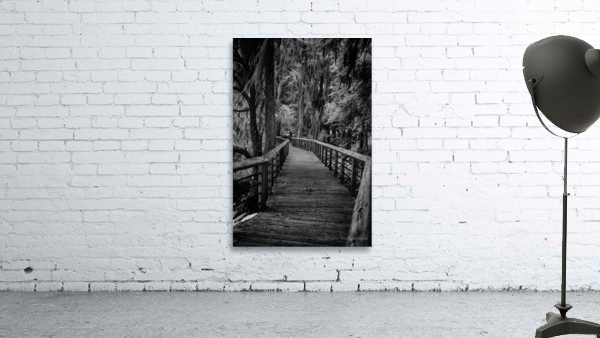 Mystic Passage Wall Preview