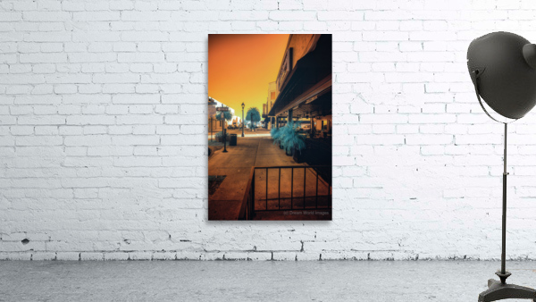 Urban Oasis: Ocala Florida Wall Preview