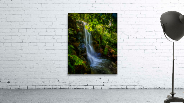 Short Falls in Florida Wall Preview