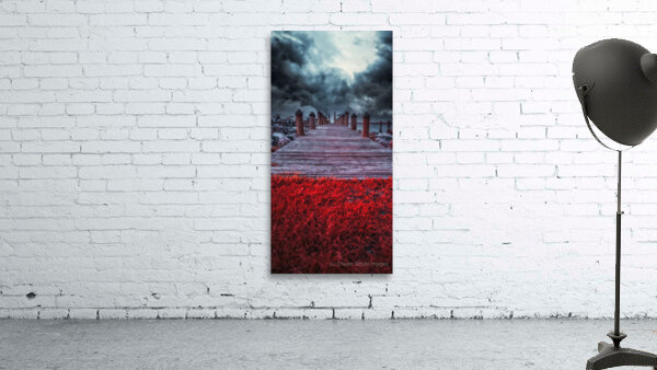 Storms Dance: A Memorable Infrared Moment on Brooms Island Maryland Wall Preview