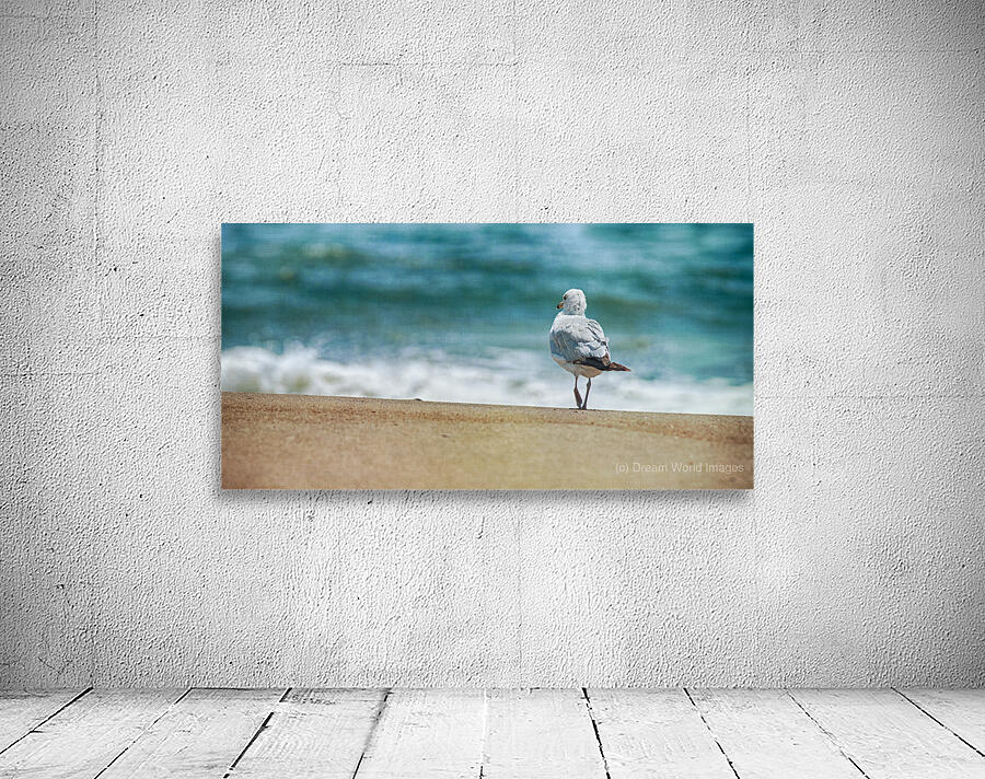 A Walk on the Beach: Capturing Serenity with a Seagull on Virginia Beach Wall Preview