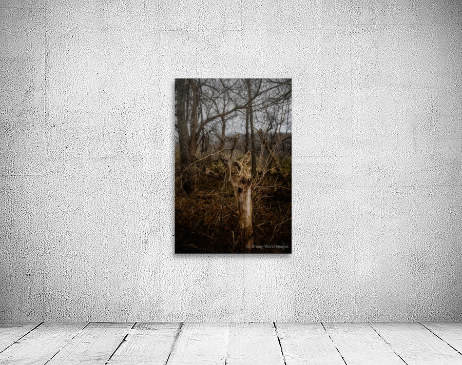 Natures Twisted Remnant Wall Preview