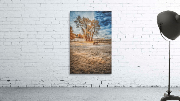 Surreal Pastures: Maryland Horses Wall Preview