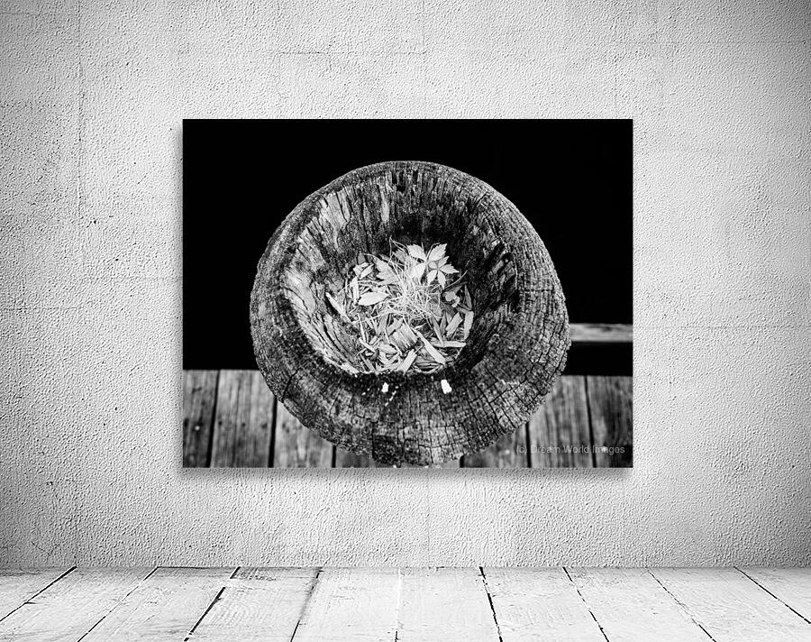 Echoes Within Wood Wall Preview