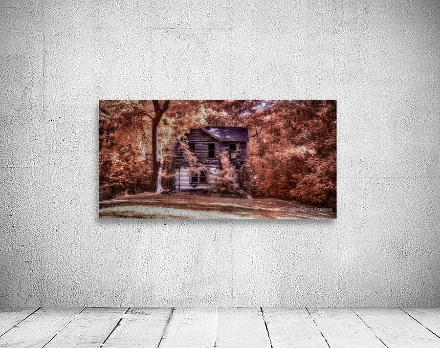 Unveiling the Mysteries of Brooms Island:  Forgotten Wall Preview