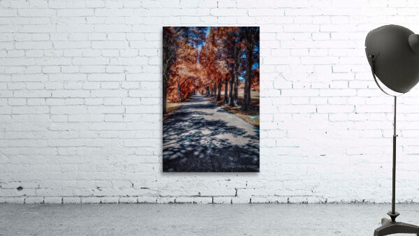 Infrared roadway Wall Preview