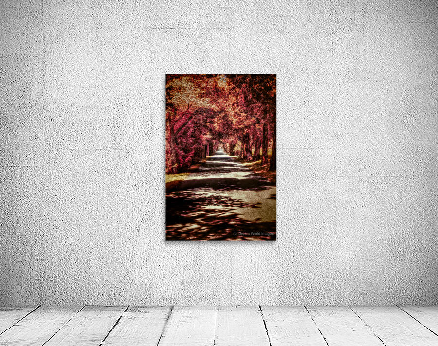 Autumn Roadway Wall Preview