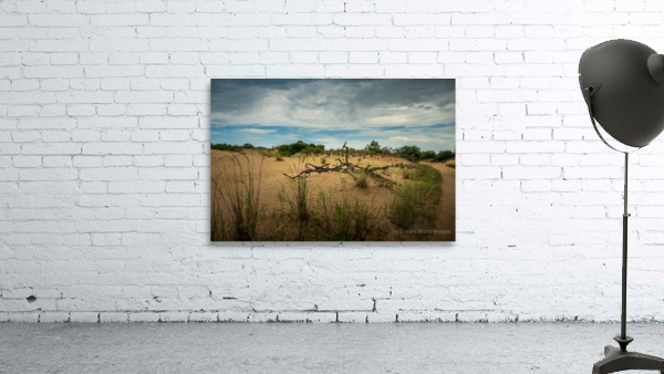 Jockey Ridge - 1 Wall Preview
