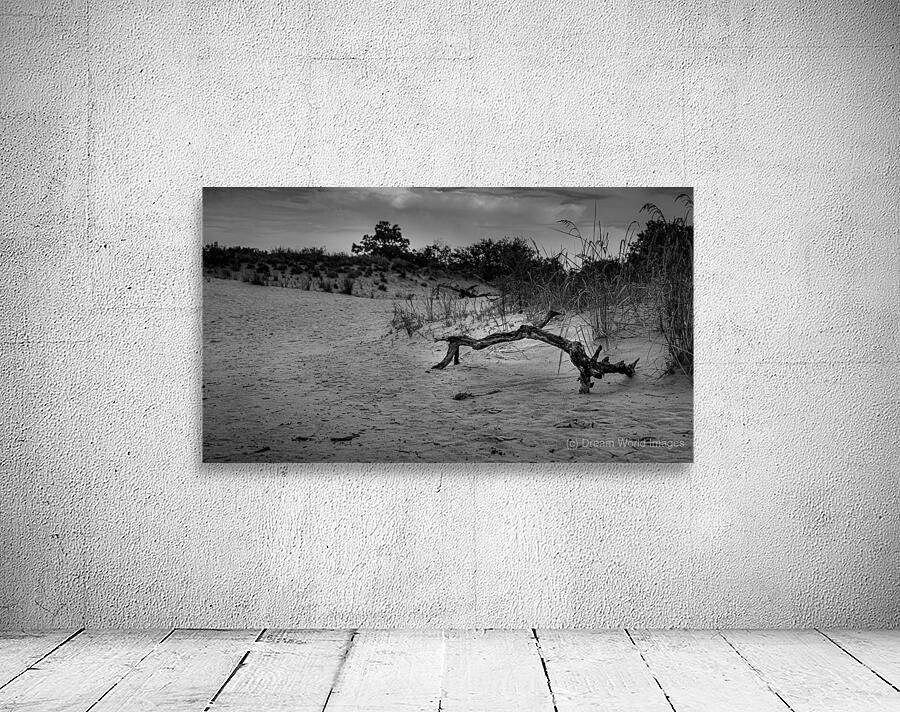 Jockey Ridge Branch Wall Preview