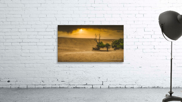 Dunes of Change: Jockey Ridge Sunset Wall Preview