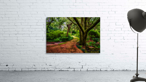 Exploring the Enchantment: A Journey through Elizabethan Gardens in Manteo North Carolina Wall Preview