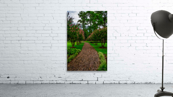 Crepe Myrtles Pathway Wall Preview