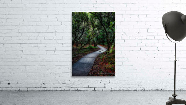 Solitary Trails: Melancholy Path Wall Preview