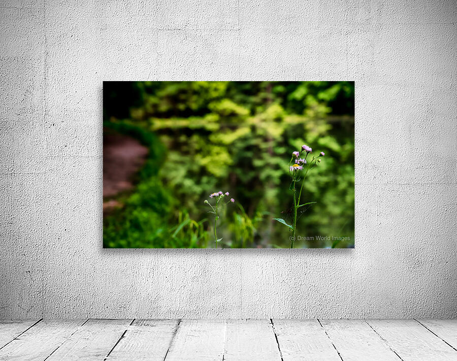 Tranquil Blossoms: A Close Encounter with Wildflower Splendor Wall Preview