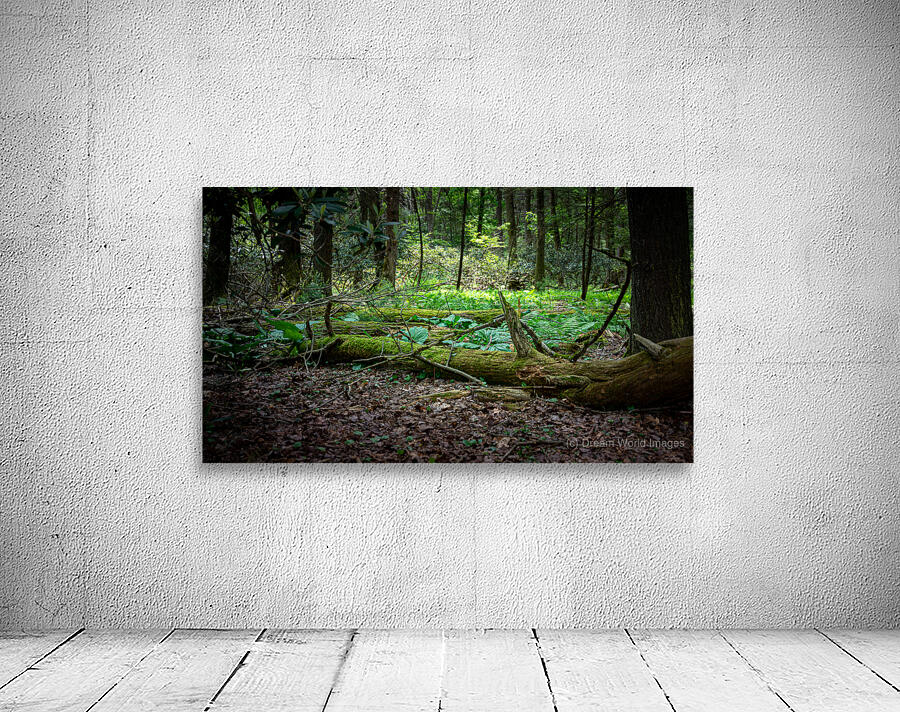 Whispers of the Ancient Forest Wall Preview