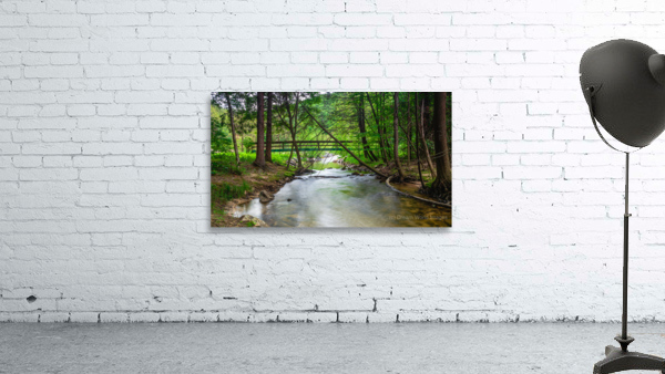 Woodland Bridge Reflections Wall Preview