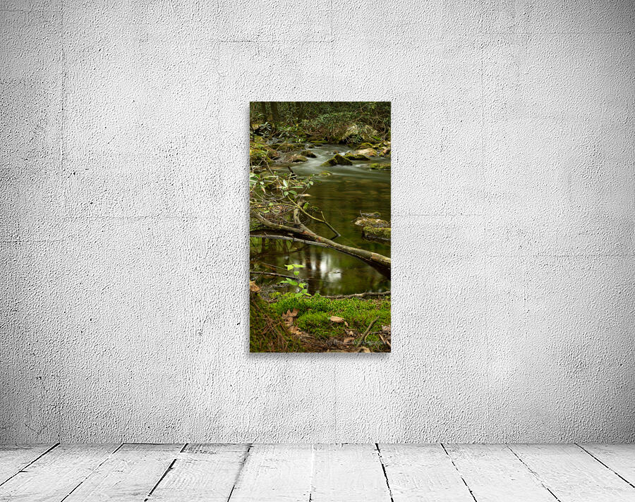 Woodlands Gentle Rapids Wall Preview