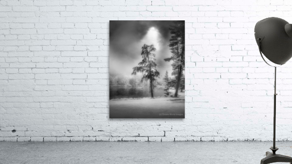 Lighted PA Pine Wall Preview