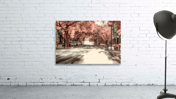 City in Bloom: Yorks Stroll Through Infrared Hues Wall Preview