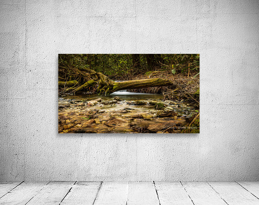 Hidden falls Wall Preview