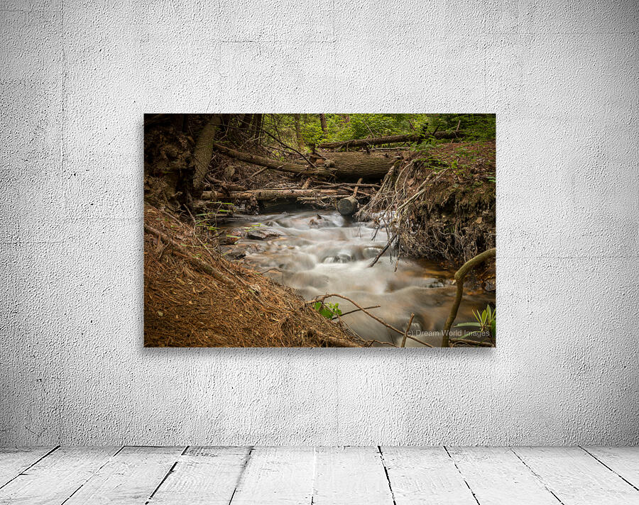 Natures Wild Symphony Wall Preview