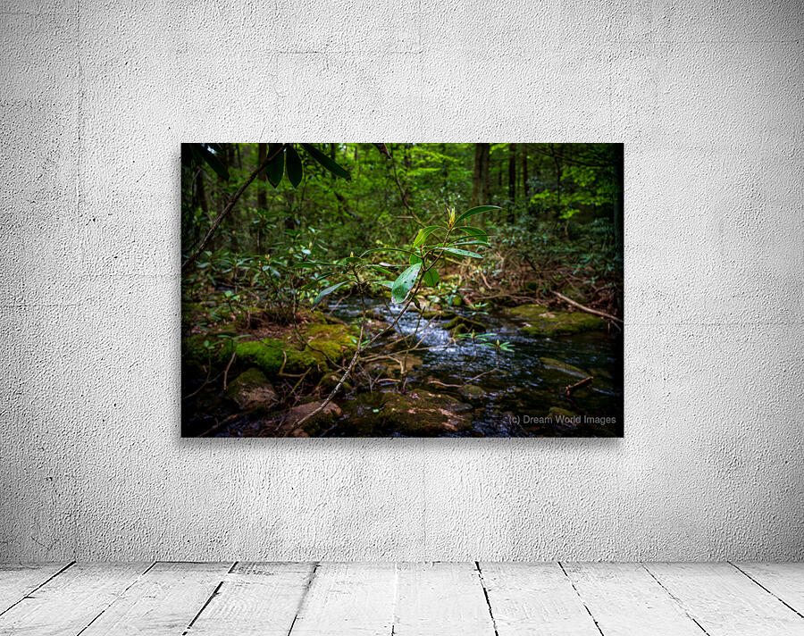 Springs Promise Wall Preview