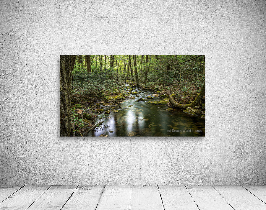 Forest Streams Light Dance Wall Preview