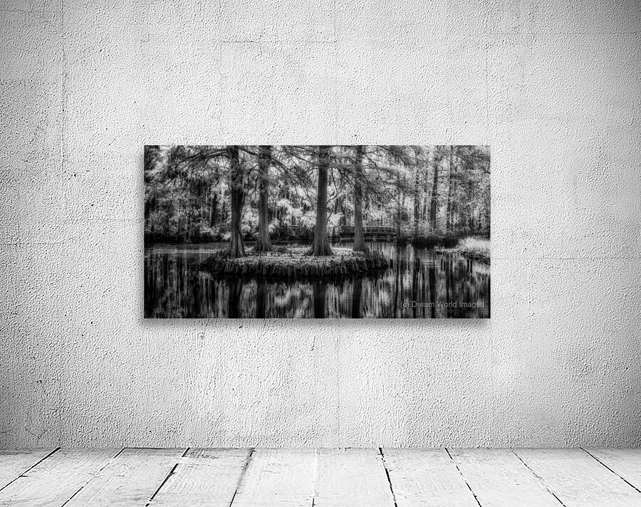 Four Bald Island Wall Preview