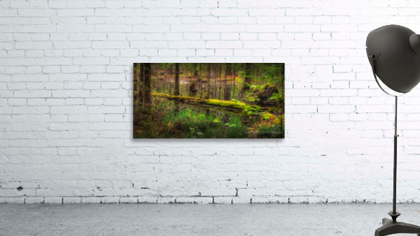 Mossy Log Wall Preview