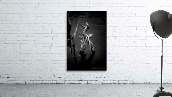 Sylvans Skeleton Waltz Wall Preview